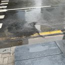 새미래OA시스템 이미지