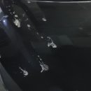워시존 시흥장현점 이미지
