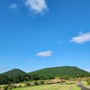 신흥동백나무군락 | BAC 제주헤리티지-수산진성, 신흥동백나무군락, 따라비오름,교래삼다수마을