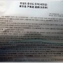 보길초등학교 | [전남-완도]보길도 윤선도 유적(세연정)