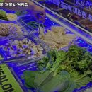 고기싸롱개봉