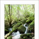 계곡 이미지