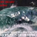 Joe Cocker - Unchain My Heart 이미지