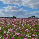 하늘정원2 이미지