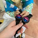 쏠비치 호텔 양양 | 양양 쏠비치 호텔 슈페리어 스탠다드 숙박 후기 객실 오션플레이 조식