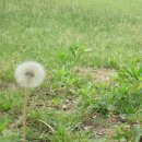 낙성대지구대 이미지