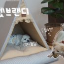 띠띠세탁 | [펫브랜디]폭신폭신 내가 살고 싶은 예쁜 강아지집 추천🐶