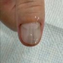 레푸스익산 이미지