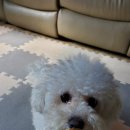 망고의 간식창고 이미지