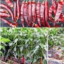 공설운동장 입구 3 이미지