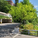 뜰안에 칼국수 이미지