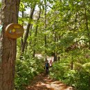 효성공원(JC공원) 근방 이미지