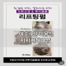 지지지 헤어#