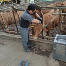 스마트2농장 이미지