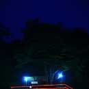금동펜션