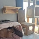 냥코캐슬 이미지