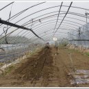 동연농장 이미지