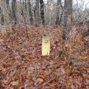 옥구중학교 이미지