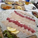 원이네김밥 | [속초 조양동 맛집] 원이네회식당 모듬회 후기 가성비 최고 신선한 활어회 체험!