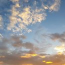 노을농장 이미지