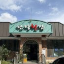 판장횟집 | 충북 보은 맛집 | 송어회와 향어회가 매력적인 판장횟집 후기