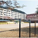 학진초등학교 이미지