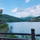 쉴만한 맑은물가 이미지