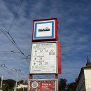 소로3-128 | 프라하 3일차 | 프라하 반일투어 후기, 프라하성, 성 비투스 대성당, 구 황궁, 황금소로, 존레논...