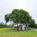 칠백의총 이미지