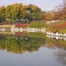 (주)정든