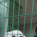 금천초문명분교 이미지