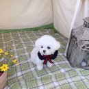 오파프부산 이미지
