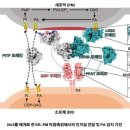 의료법인 새생명의료재단 이미지