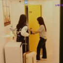 스테이 청춘 이미지