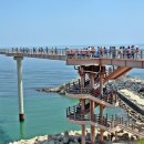 등기산스카이워크 이미지