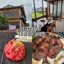 대궁 | 평택한우 평택만세로맛집 대궁정육식당 방문후기
