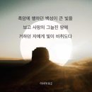 [이사야 9:2] 흑암에 행하던 백성이 큰 빛을 보고 사망의 그늘진 땅에 거하던 자에게 빛이 비취도다 이미지