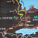 일동 BYC 이미지