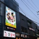 바다회산오징어 | 상암 산오징어 맛집 용왕님술상, 여름 한정 산오징어 회 한상 후기
