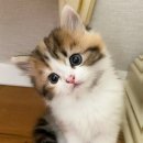 (주)제이오테크