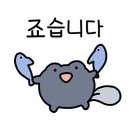 수유세탁 이미지