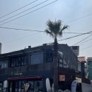 켈리서프 | [제주도서핑] 서핑 입문자들에게 추천하는 삼양해수욕장 서핑샵 '제주도서핑 서프앤조이' 후기