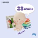 라레브네일 | [임신 기록] 21주~24주차 임산부 결혼식 당일 본식 후기, LA ~ 칸쿤 신혼여행 다녀온 일상