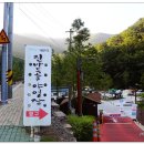 진밭1교 이미지