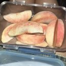 영자PC방 | 8월 일상 (2)