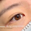 비올라(violla)