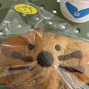 성수퍼피 이미지