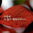 ♤♡동치미 금방 먹을수 있게담기♤♡ 이미지