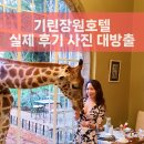 기린원 | 케냐 기린 장원 호텔, 후기, 가격 예약 방법, 실제 호텔 사진 대방출!