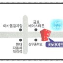 카용품점